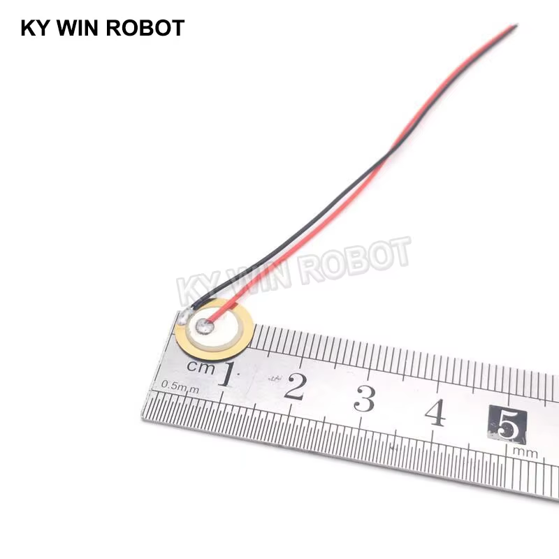 10 قطع من الرقائق السيراميكية  - مراجعة Diy Electronic وسعره