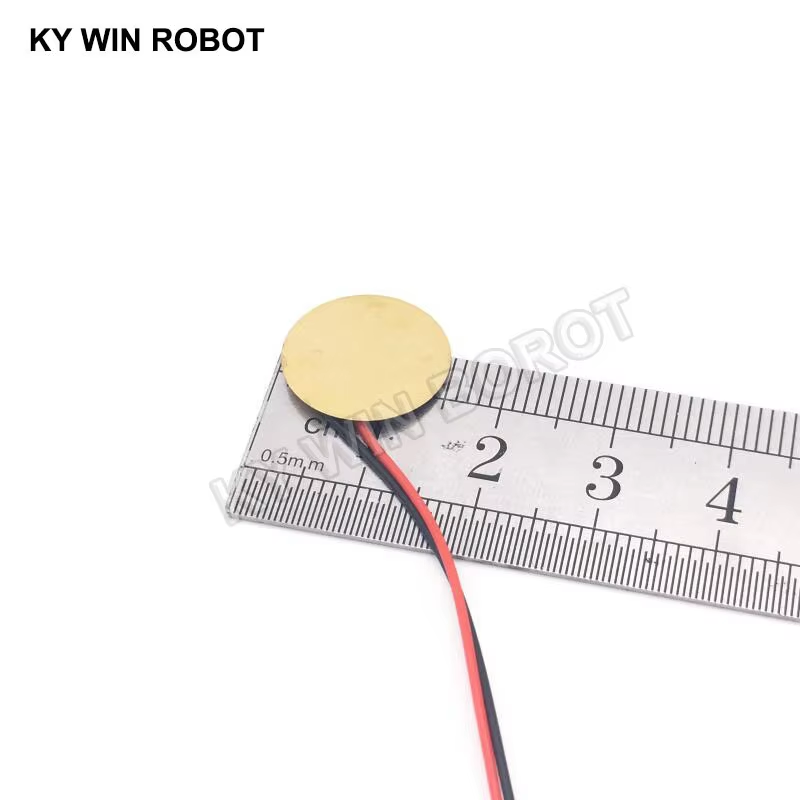 10 قطع من ألواح السيراميك الكه - مراجعة R/Diy Electronics وسعره